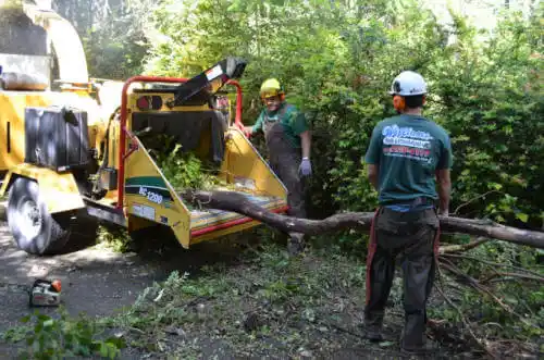 tree services Notasulga